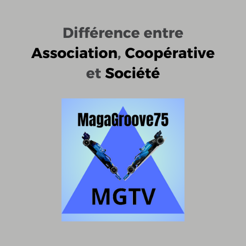 Différence entre Association, Coopérative et Société - 20250125-1 | CommunauBlog de Média Saint-LuCo