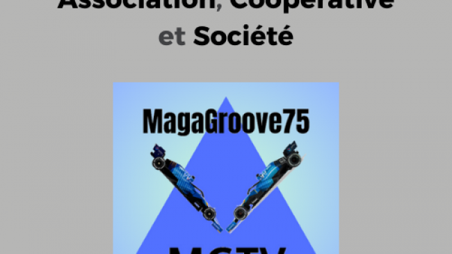 Différence entre Association, Coopérative et Société - 20250125-1 | CommunauBlog de Média Saint-LuCo